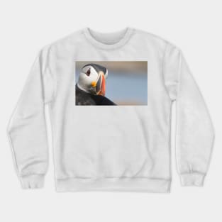 The Puffin Crewneck Sweatshirt